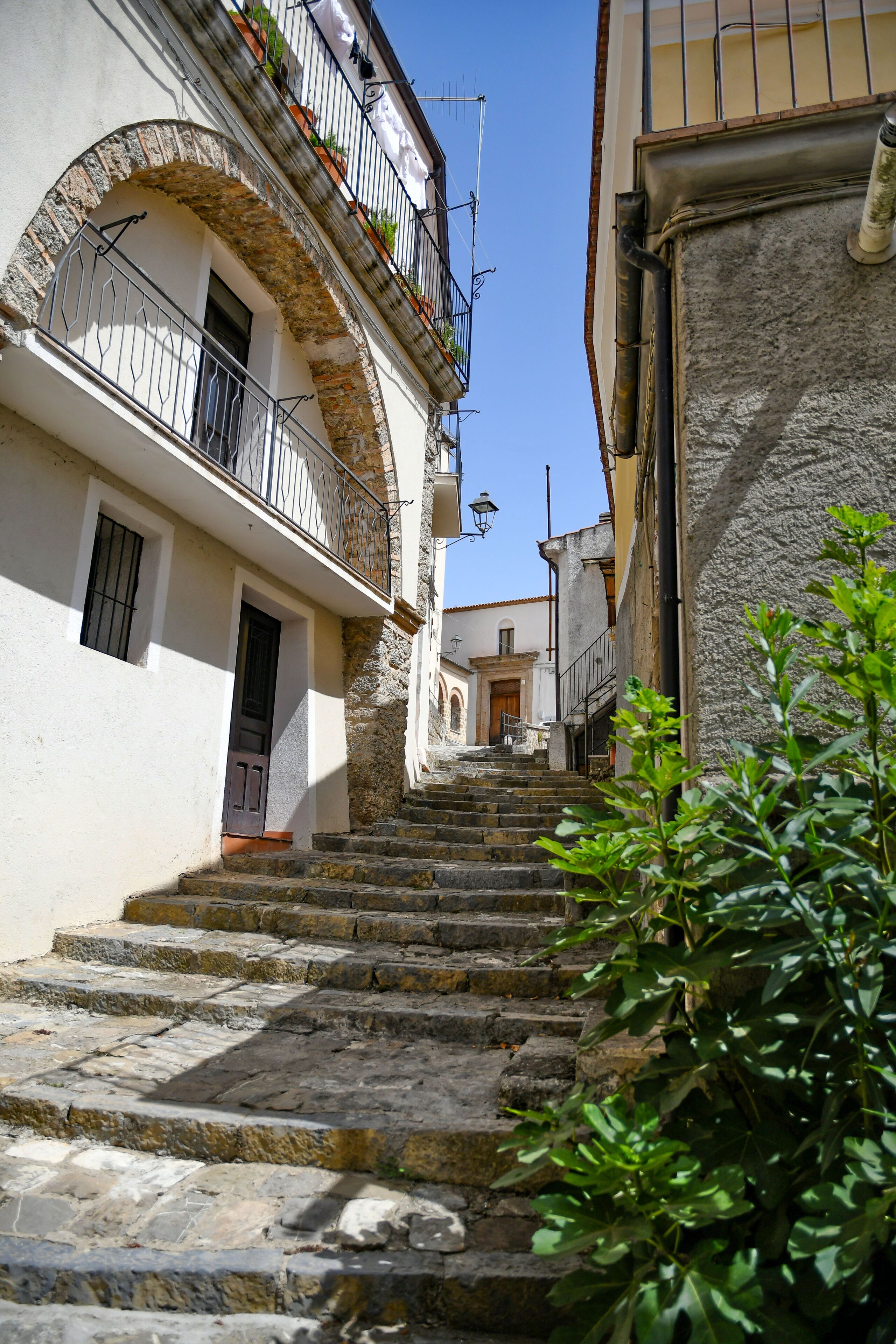 Piatto